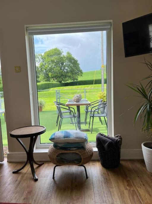 Adorable One Bedroom Apartment With Balcony Newtownards Extérieur photo